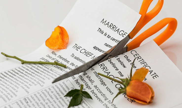 marriage license cut in half with roses